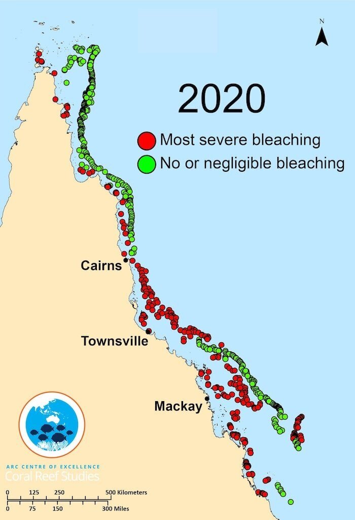 coral bleaching