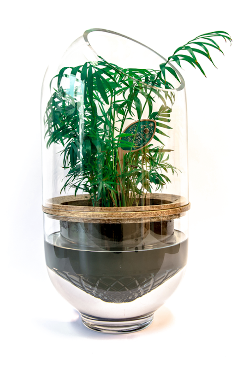 The Living Light: lamps powered by plants