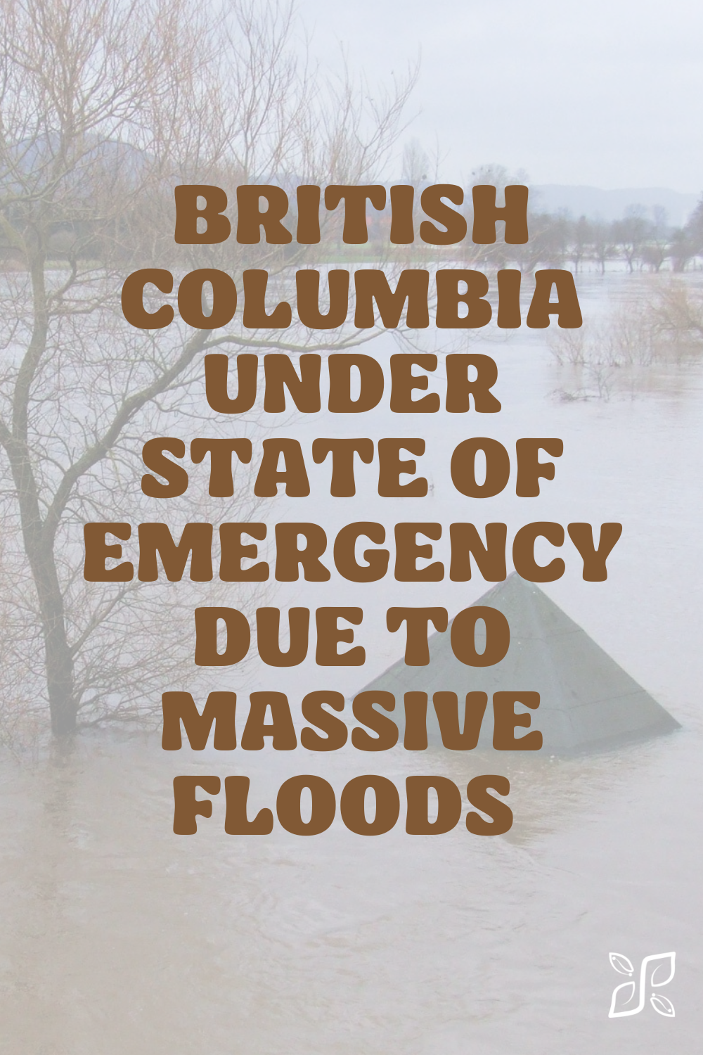 British Columbia Under State of Emergency due to Massive Floods