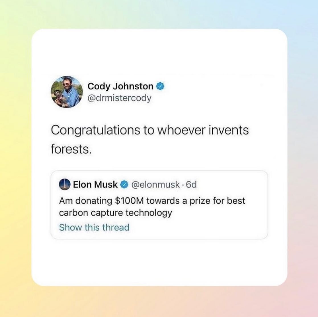 🤦🏽&zwj;♀️ maybe let&rsquo;s stop deforestation? Join our membership and buy am acre of Ecuadorian Rainforest 🌳🌳🌳 #eco_nnect #membership #rainforest #elonmusk