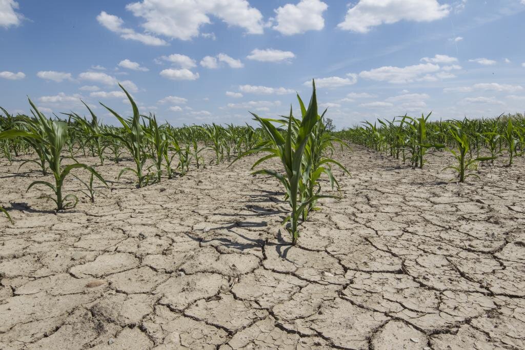 soilerosion