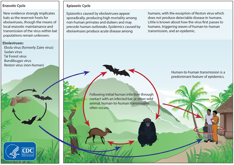 study The Hidden Cost of Destroying Nature