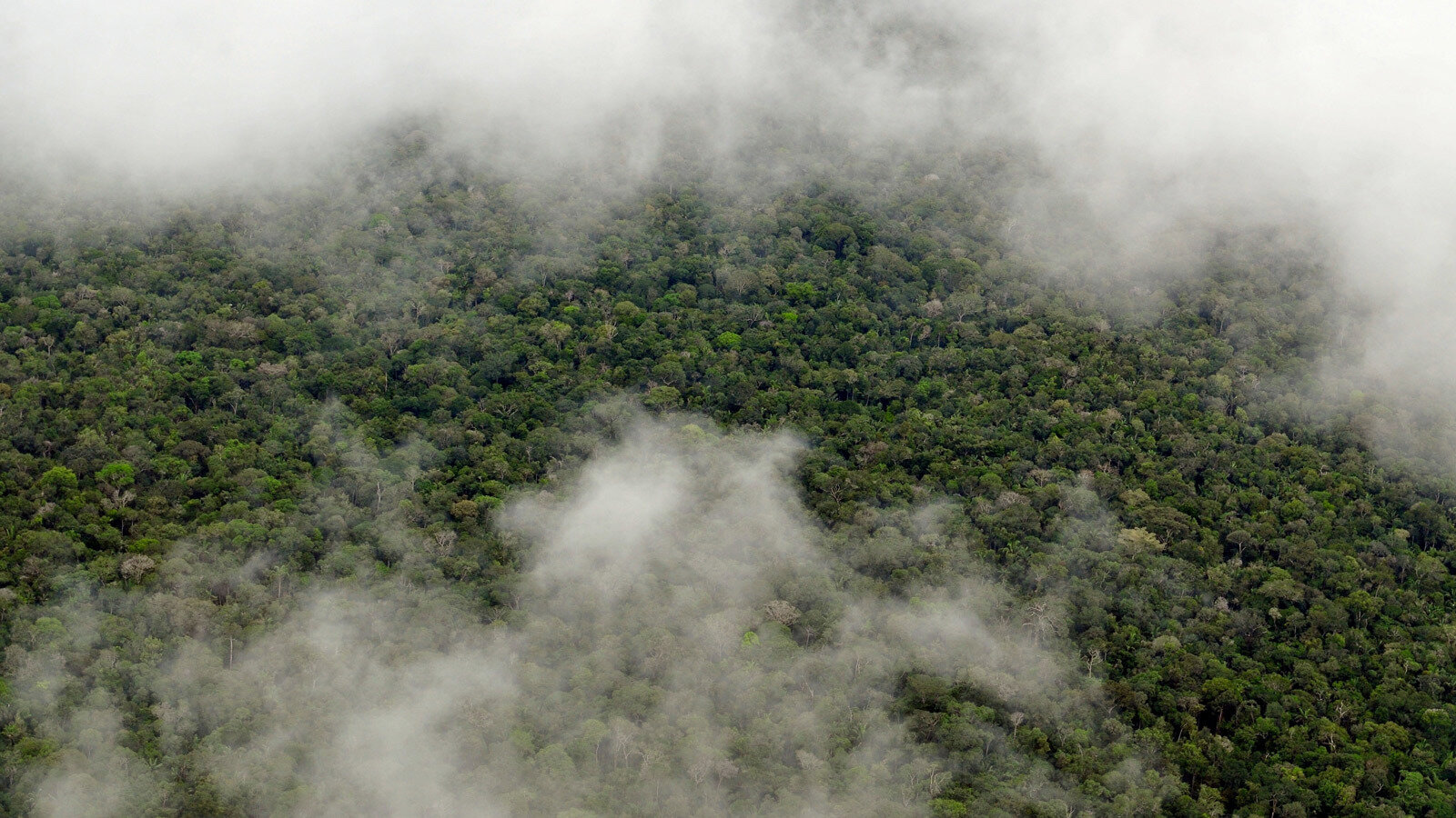 Amazon Rainforest Rainclouds