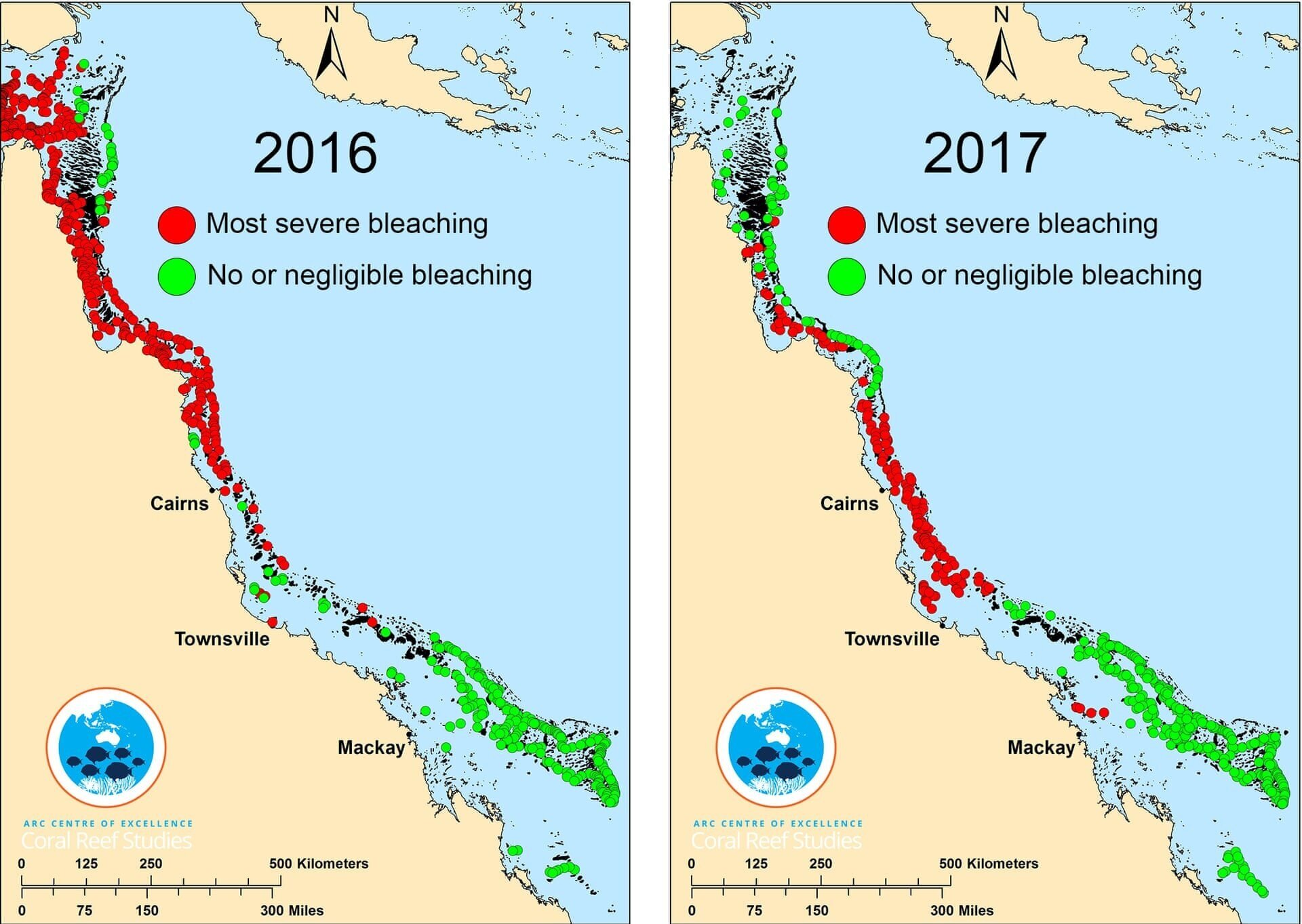 coral bleaching