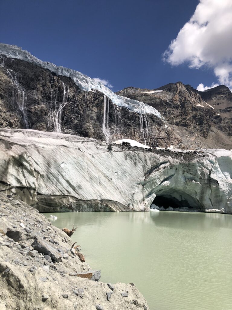 Fellaria glacier - global warming