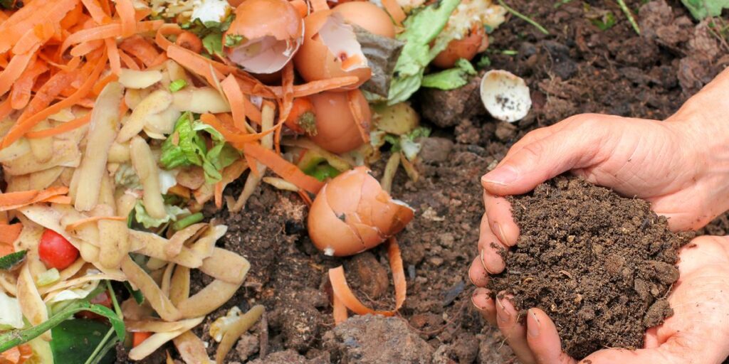 food into compost
