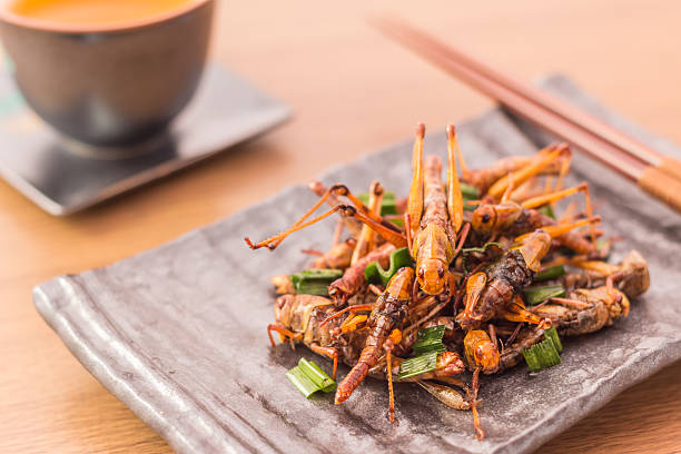 a-locust-in-the-hand-is-worth-cows-in-the-bush food