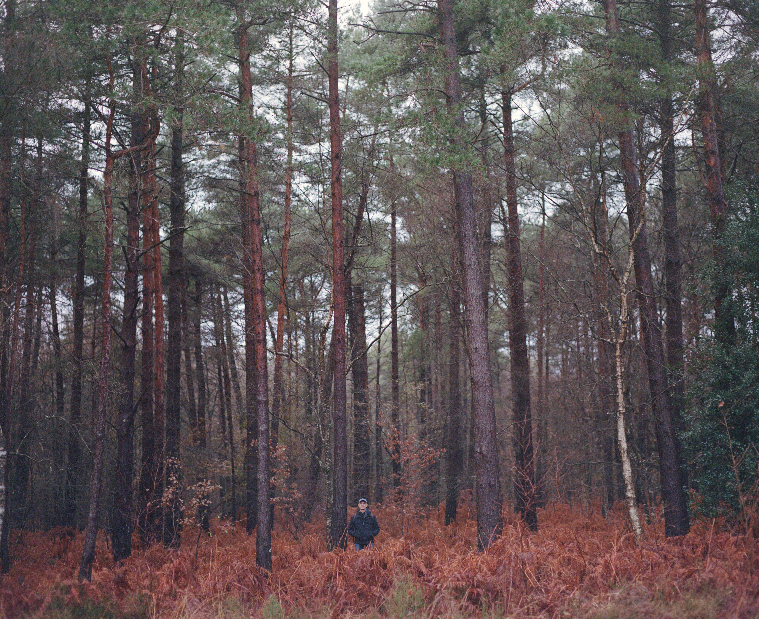 Luc Marescot stands amongst the trees of the Brocéliande Forest