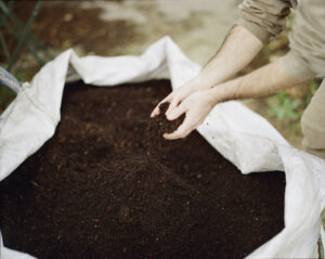 Las dos manos de Michael Kennard sostienen el compost vivo que crea. El compost se guarda en una gran bolsa blanca.
