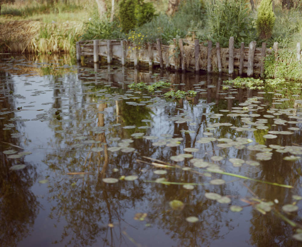 biofilter xochimilco arca tierrar