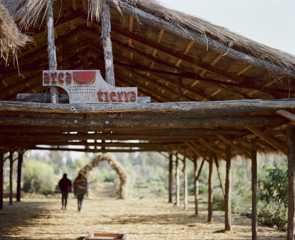 arca tierra xochimilco