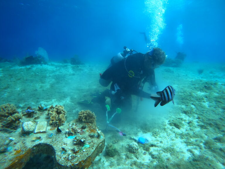 German Mendez cozumel coral reef restoration project