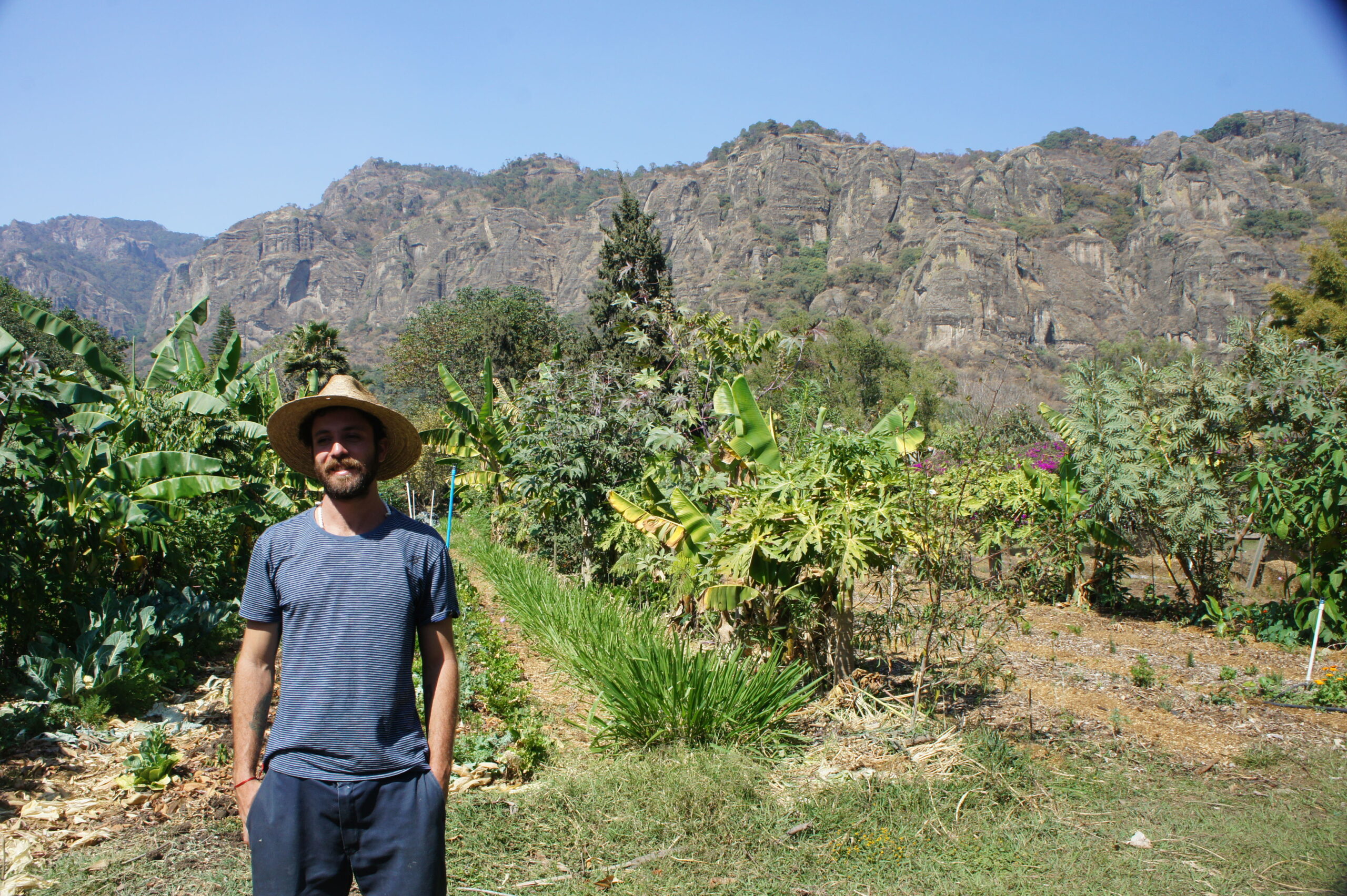 Rodrigo Marques at Solar Centro Agroecologico