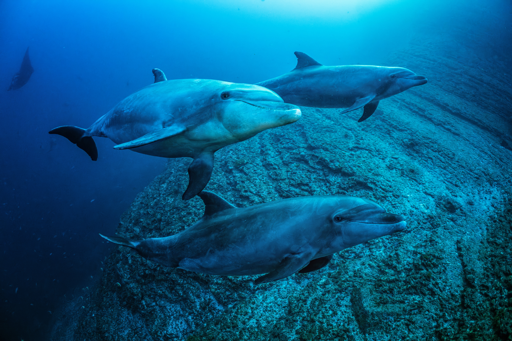 Making a biosphere reserve in Baja California Sur