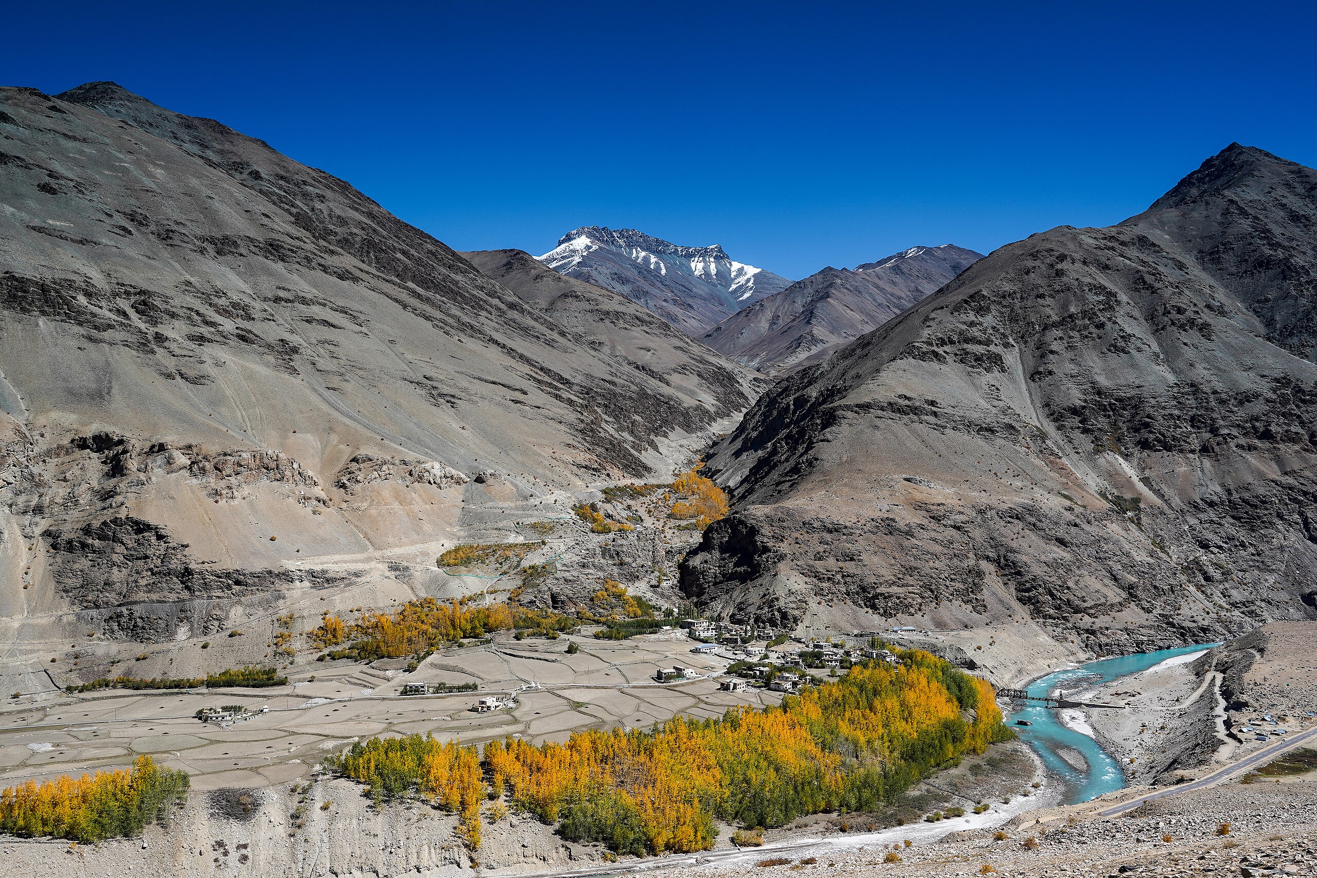 Shila village on the right bank of the Tsarap, Zanskar, Ladakh, India. Surrounded by groves of birch in autumn colouration.