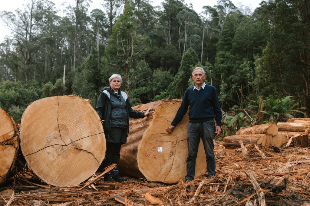 Jenny Weber and Bob Brown stand with the felled giant trees in a logging coupe in the Styx Valley.