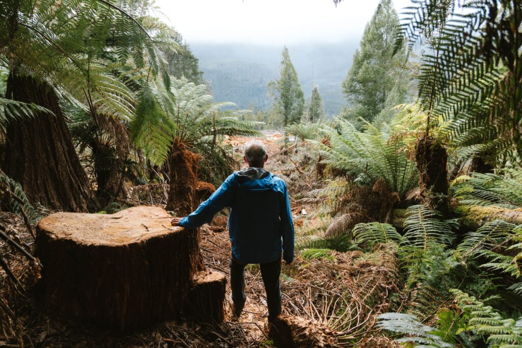 Bob Brown stands next to a huge tree stump in the Styx Valley.