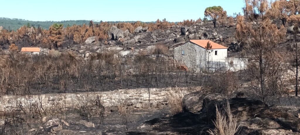 fires portugal septembre 2024